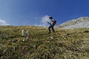 95 Scendiamo dal Pizzo di Corzene a vista per morbidi pratoni 